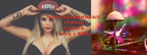 крисы Кинешма