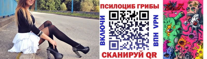 Купить  Братск  Галлюциногенные грибы Psilocybine cubensis 